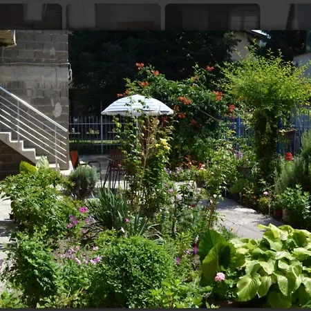 Mani * Вишеград